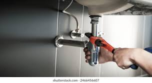 Best Garbage Disposal Repair and Installation  in Lake Delton, WI